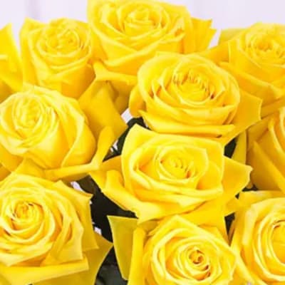 Bouquet of bright yellow roses in a close-up view