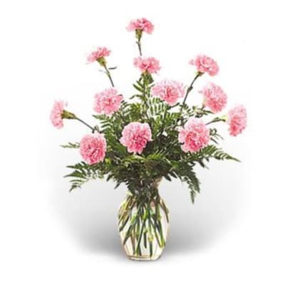 Pink carnations in a clear glass vase