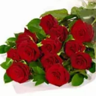 Bouquet of red roses with green foliage
