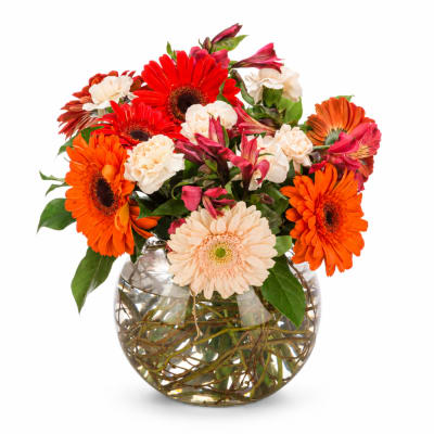 Bright mixed bouquet of gerbera daisies and alstroemeria in a glass vase