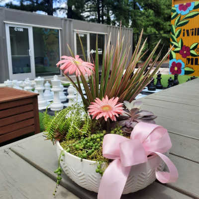 Succulent arrangement with pink daisies in a white bowl and pink ribbon