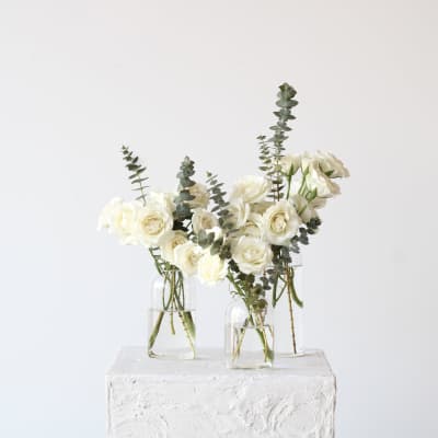 White roses in clear glass vases with tall eucalyptus stems