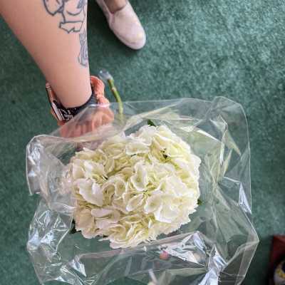 White hydrangea bouquet wrapped in clear plastic