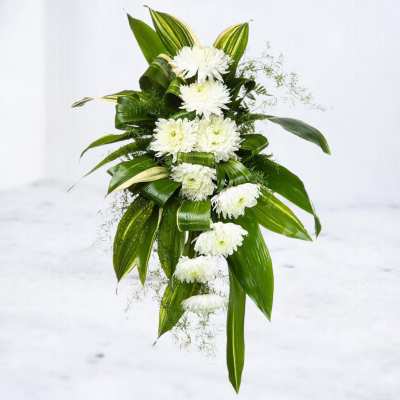 Tall arrangement of white chrysanthemums with large glossy green leaves in a cascading design