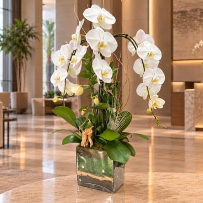 White orchid arrangement in a square glass vase