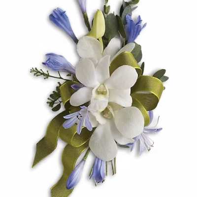 White orchid corsage with blue flowers and olive ribbon