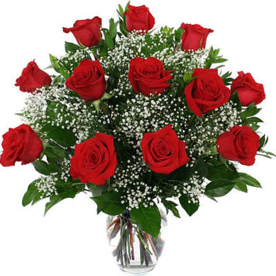 12 red Dozen Roses