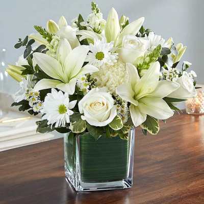 Healing Tears All White