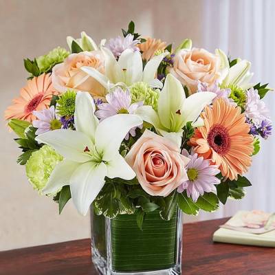 Healing Tears Multicolor Pastel