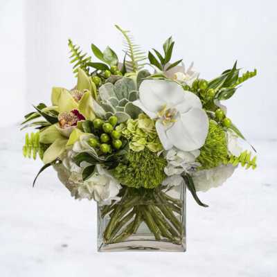 Low arrangement of white orchids, green succulents, and mixed green and white blooms in a square glass vase