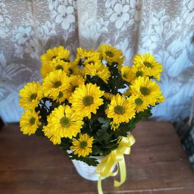 Happy Chrysanthemum