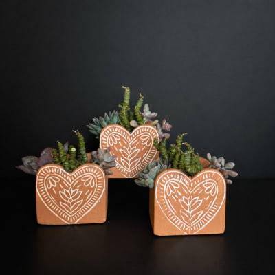 Valentine's Day Succulent Dish