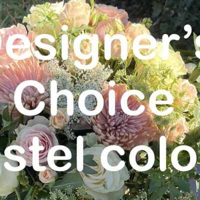 Designer's Choice Pastel Edition