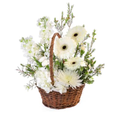 Among the Clouds Basket Arrangement by Birch & Blossom