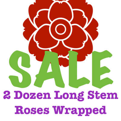 2 DOZEN LONG STEM RED ROSES WRAPPED
