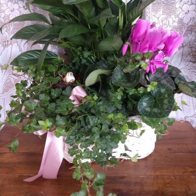 Large European Garden