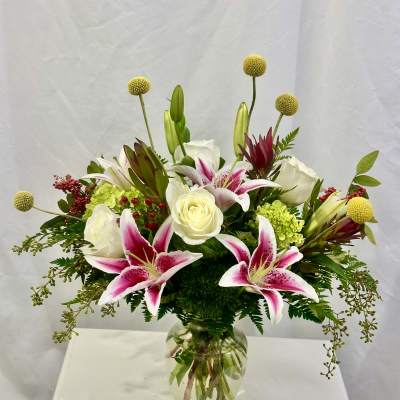 Stargazing Celebration