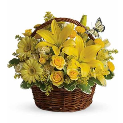 Basket Full Of Wishes