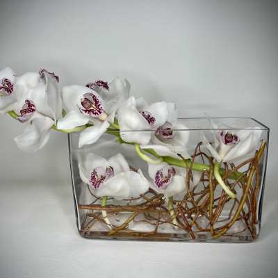Low rectangular glass vase with white cymbidium orchids and twisted branches arranged horizontally