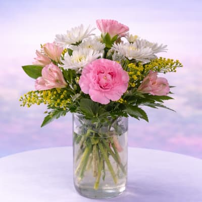 Blushing Daisy Delight