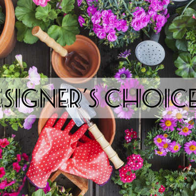 Designer's Choice