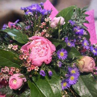 Sweet Meadow Whisper