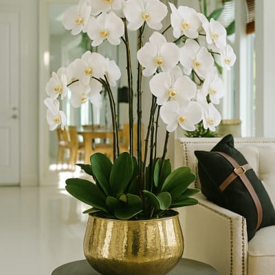 White orchid arrangement in a gold pot on a small table