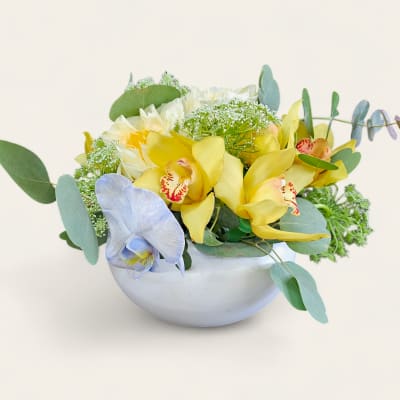 Yellow and pale blue orchids arranged in a white bowl vase