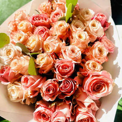 Bouquet of peach and pink roses wrapped in white paper in bright sunlight