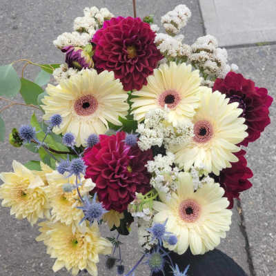 Handheld bouquet of cream and burgundy flowers with blue thistle accents