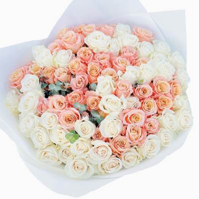 Bouquet of pink and white roses wrapped in white paper