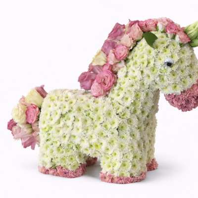 Horse Flower