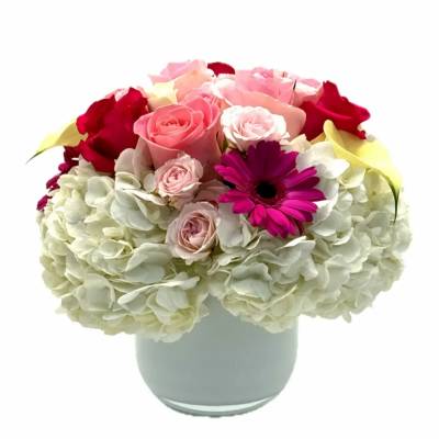 Pink and red roses with white hydrangeas in a glass vase