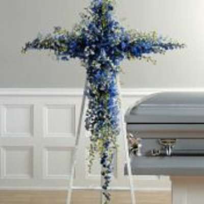 Blue Delphinium Cross