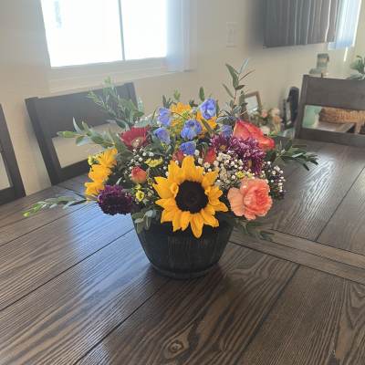 Spring Farm collection