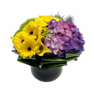 Yellow gerbera daisies and purple hydrangeas in a black vase