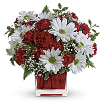 Red carnations and white daisies in a red glass vase