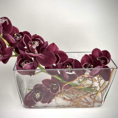 Horizontal arrangement of deep purple cymbidium orchids in a clear rectangular glass vase.