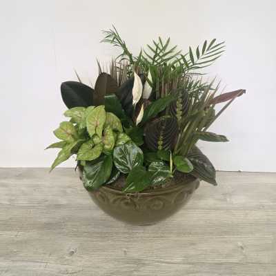 Mixed green houseplants with a few white blooms in a round ceramic bowl planter
