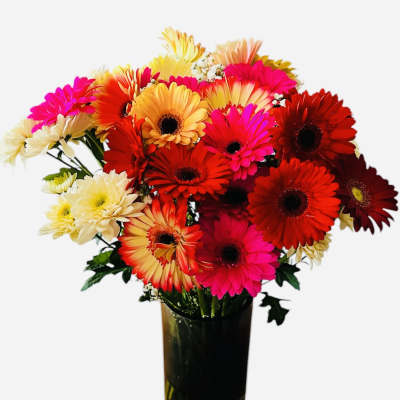 Cinnamon by BloomNation™