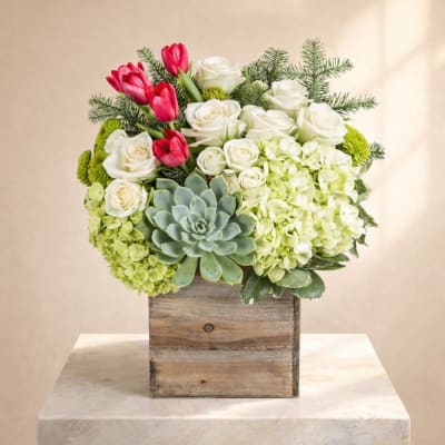 Home for the Holidays By BloomNation™