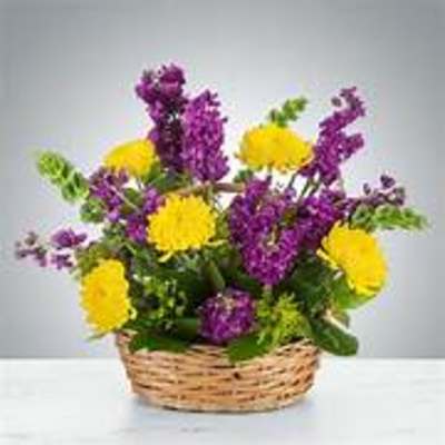 Snappy by BloomNation™