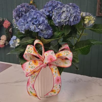 Blue Potted Hydrangea with Bow!
