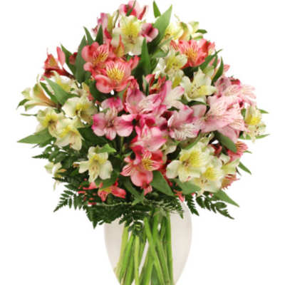 Bouquet of pink and white alstroemeria in a clear glass vase
