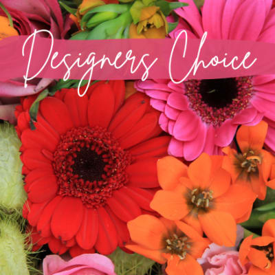 Designer's Choice Bold Mix