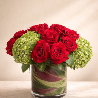 Bejeweled Nights by BloomNation™