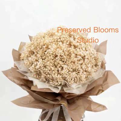 Large bouquet of small cream preserved flowers wrapped in layered brown paper with white ribbon
