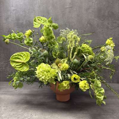 Lime-green floral arrangement in a terracotta pedestal vase