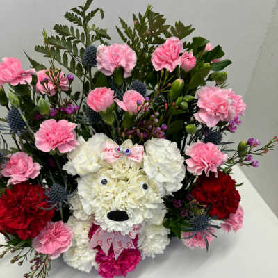 Carnation arrangement shaped like a teddy bear with pink and white flowers