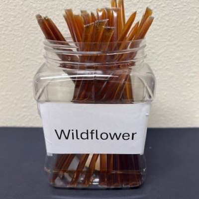 Clear jar filled with brown sticks labeled Wildflower